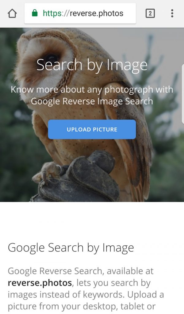 reverse image search using reverse.photos