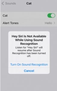 Hey Siri Is Not Available While Using Sound Recognition iPhone 14