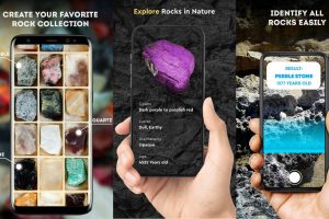 8 Best Rock Identification Apps for Android and iOS